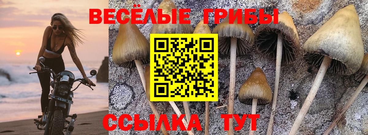 Смоленск  Галлюциногенные грибы Psilocybine cubensis  Галлюциногенные грибы Psilocybe  Вход с VPN 